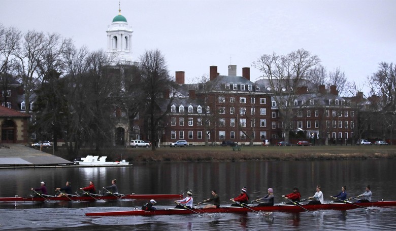 Harvard Undergraduates Will Pay Full Tuition for Online Classes This Fall