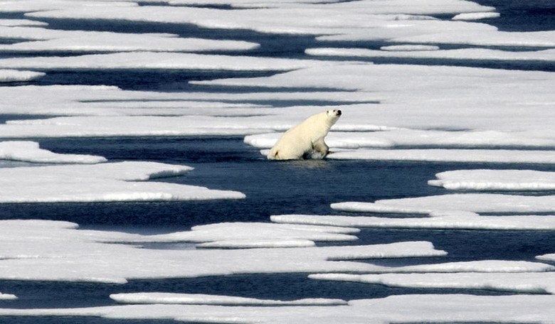 The Left’s Fascination with Junk Science