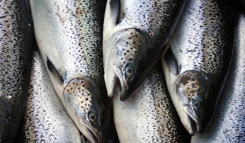 Unintended Consequences: Tariffs May Have Unseen Effects for Alaskan Fisheries