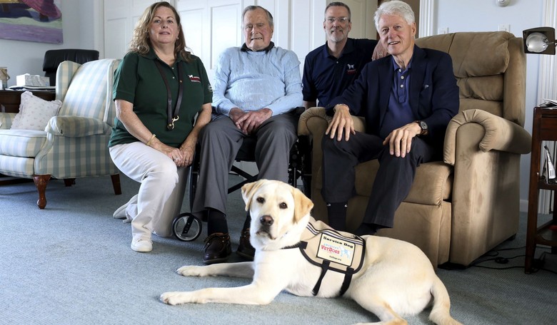 'Mission Complete': The One Photo of Bush's Service Dog You Need to See 