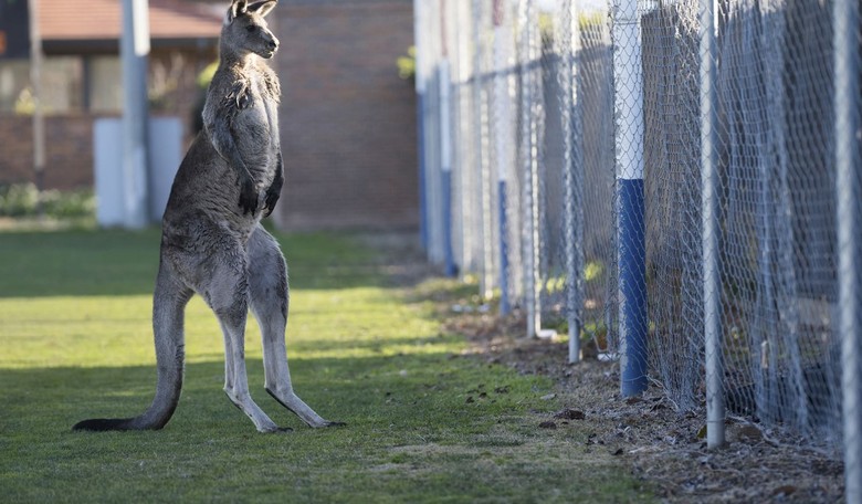 You Can Still Hum 'Leavin' on a Jet Plane' From Anywhere...But Australia