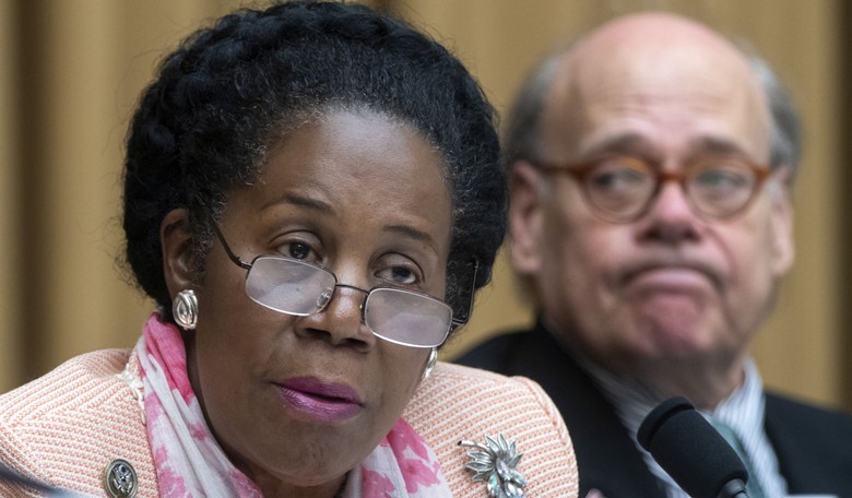 Texas Woman Threatens Judge Chutkan and Sheila Jackson Lee Over Trump Indictment 