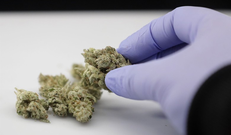The Crusade Against THC in Texas Has Gone Up in Smoke