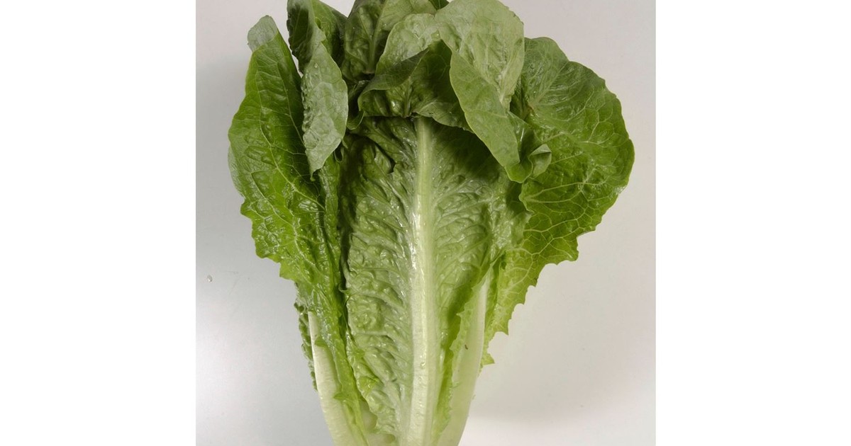 The Diarrhea Lettuce Epidemic Is Over