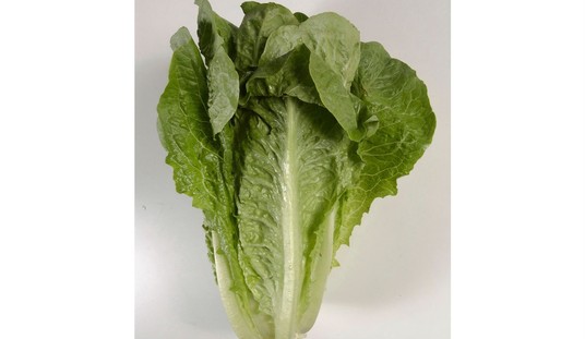 The Diarrhea Lettuce Epidemic Is Over  