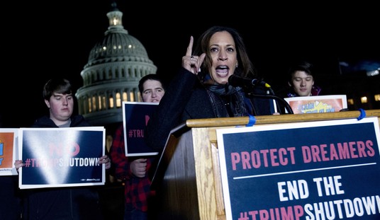 A Decade Later: How DACA Eroded the Rule of Law in America
