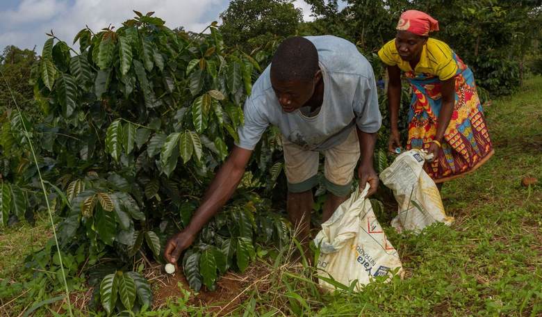 Financing Poverty, Malnutrition and Death – Part 2 