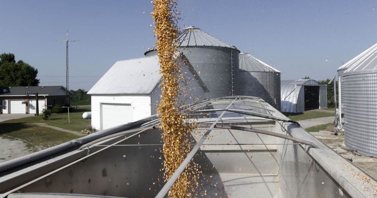 USDA Fraud, Bank Scheme, and Stalking Land Iowa Farmer in Prison for 13 Years