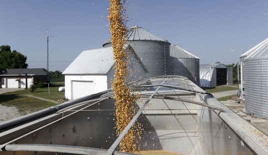 USDA Fraud, Bank Scheme, and Stalking Land Iowa Farmer in Prison for 13 Years