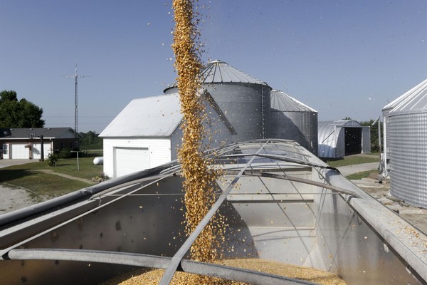 USDA Fraud, Bank Scheme, and Stalking Land Iowa Farmer in Prison for 13 Years