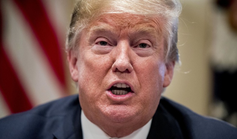 Ha: Here's Who Trump Says Loved His Press Conference With Putin 