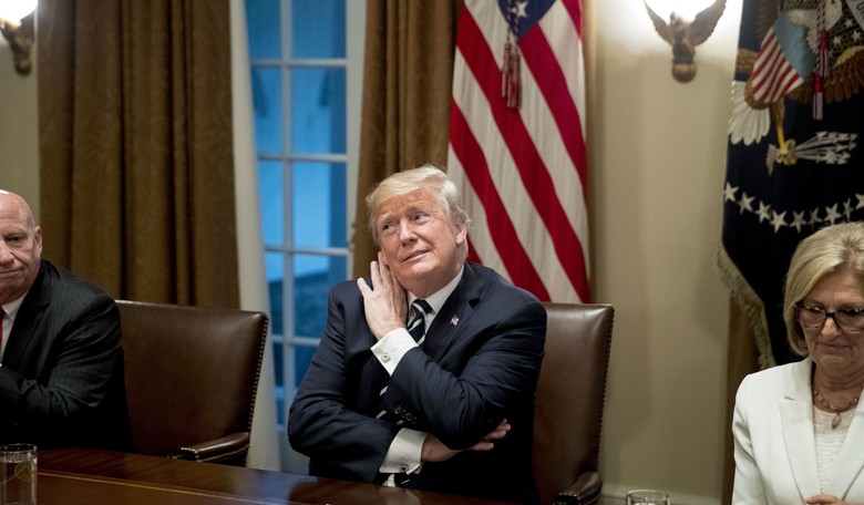 President Trump Just Broke a Judicial Record 