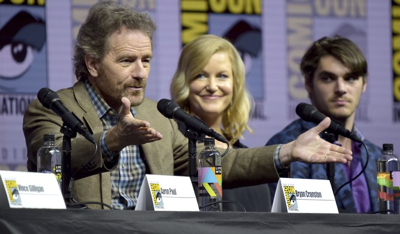 'If You Vote Trump, He Can't Stand You': Megyn Kelly SHAMES Bryan Cranston for His Terminal Case of TDS