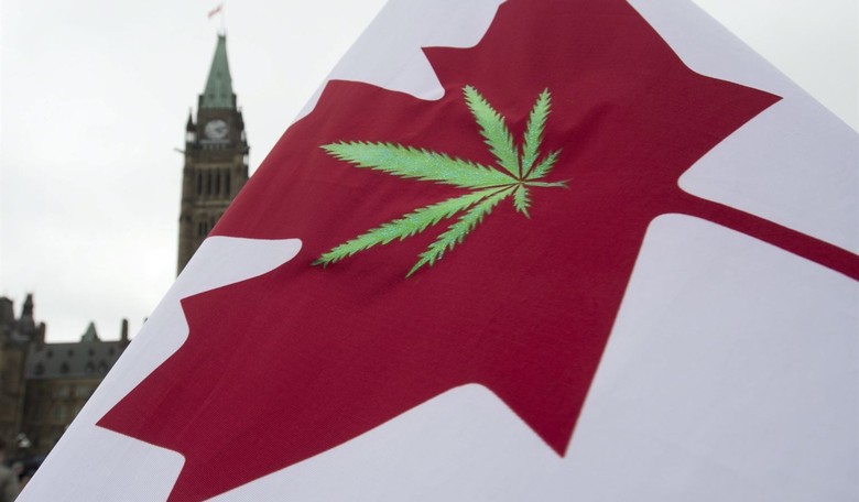They're All Yours Canada: Democrats Have Driven Their Voters Insane