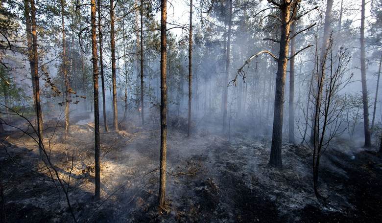Finland Getting Serious About Preparing for War