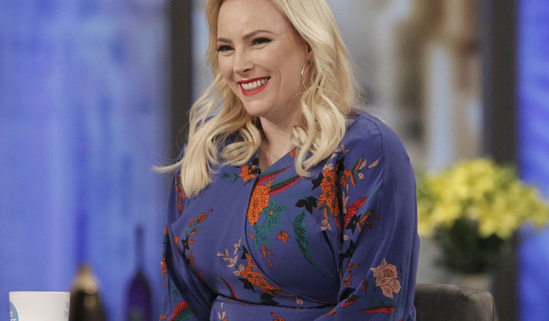 Meghan McCain Criticizes Klobuchar's Comments About Her Father at Campaign Event