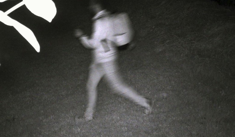 ‘An Everyday Thing’: Eerie Trail Cam Footage Catches Illegals Invading Family Farm on Northern Border