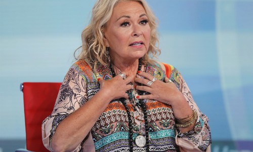 Roseanne Barr Is Coming Back With a New Series!