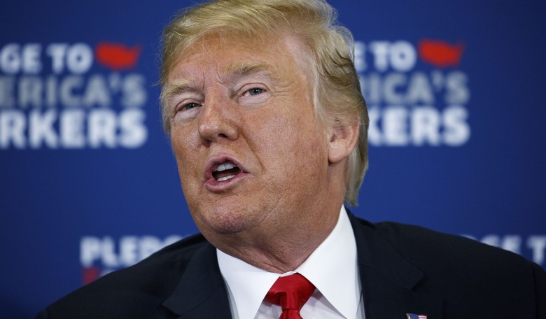 Seeing Trump's Forest 