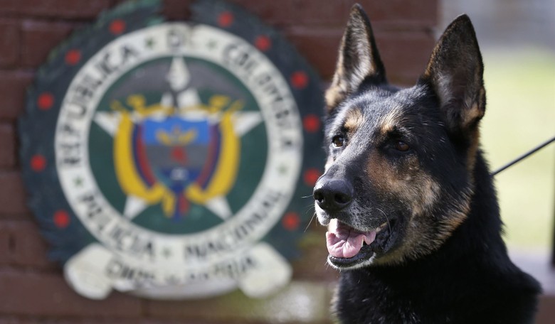LOOK: Massive Cocaine Smuggling Tunnel Busted By Authorities