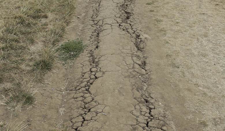 Heat-Waves: Past, Present and Prospective