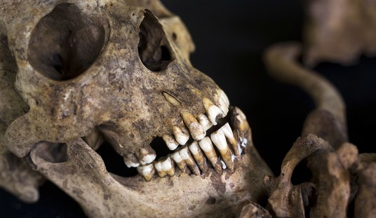 Can You Trust Anybody or Thing?