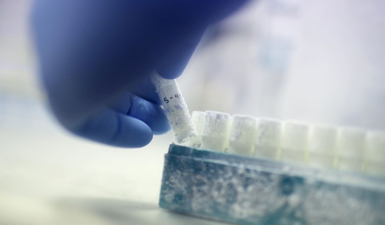 Alabama Supreme Court's Embryo Ruling Embodies America's Legal Heritage