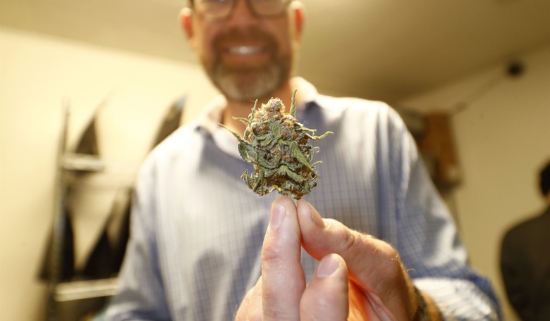 Colorado's Legal Pot Boom Goes Bust