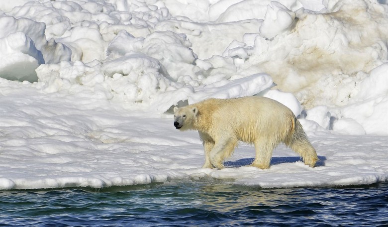 Young People Don't Actually Give a Damn About Climate Change, Poll Finds