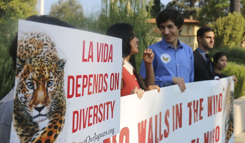 Diversity and Inclusion Insanity