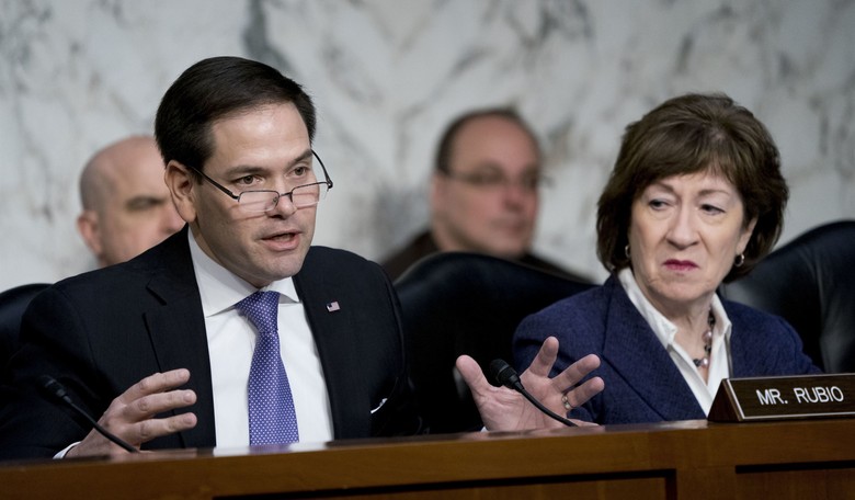 'They'll Do It Here in the Homeland': Rubio on Moscow Attack and ISIS-K