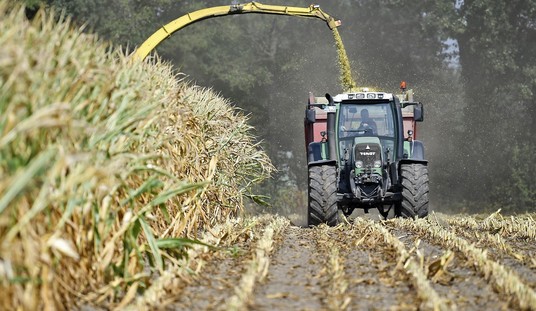 Rainfall Driving Bumper Crops and Crop Failures Is Neither Random Nor Due to Global Warming