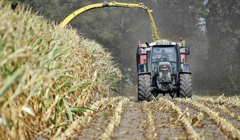 Rainfall Driving Bumper Crops and Crop Failures Is Neither Random Nor Due to Global Warming