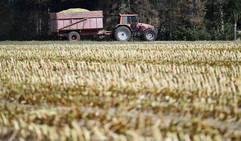 Iowa Farmers Accuse China of Stealing Valuable American Seeds for Their Own Benefit 