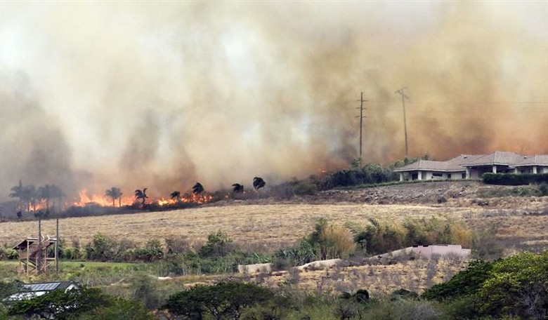 Are You Serious? We Have Another Damning Update About the Maui Wildfires
