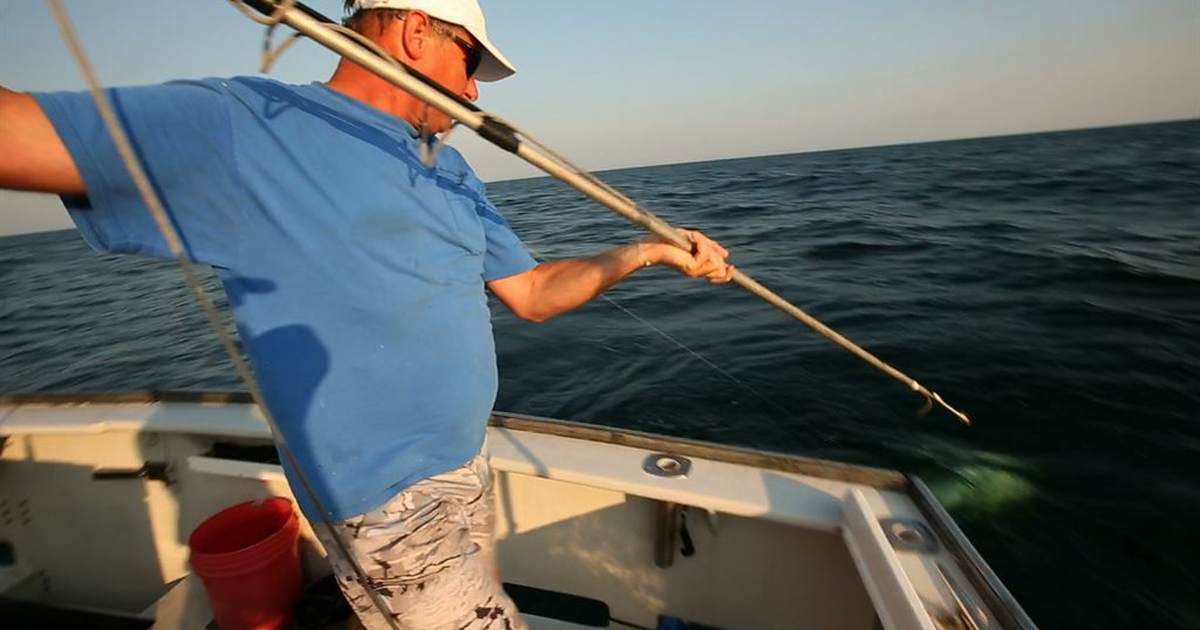 ICAST 2026: Sen. Graham's Legacy, Expanding Access, and Sharks