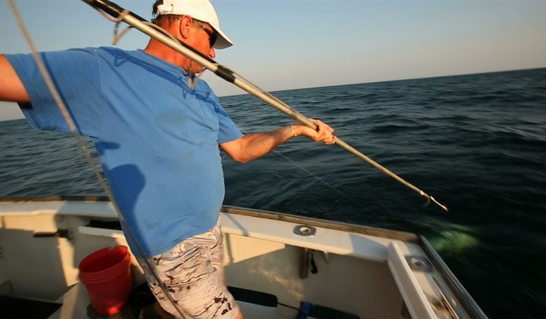 ICAST 2026: Sen. Graham's Legacy, Expanding Access, and Sharks