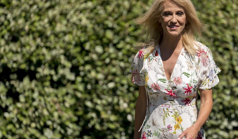 People Aren't Liking How Kellyanne Framed the Pittsburgh Massacre