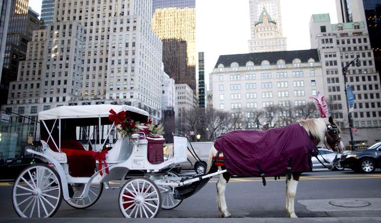 The Great Horse Manure Crisis: Why 'Inevitable' Disasters Keep Getting Rewritten