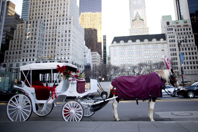 The Great Horse Manure Crisis: Why 'Inevitable' Disasters Keep Getting Rewritten