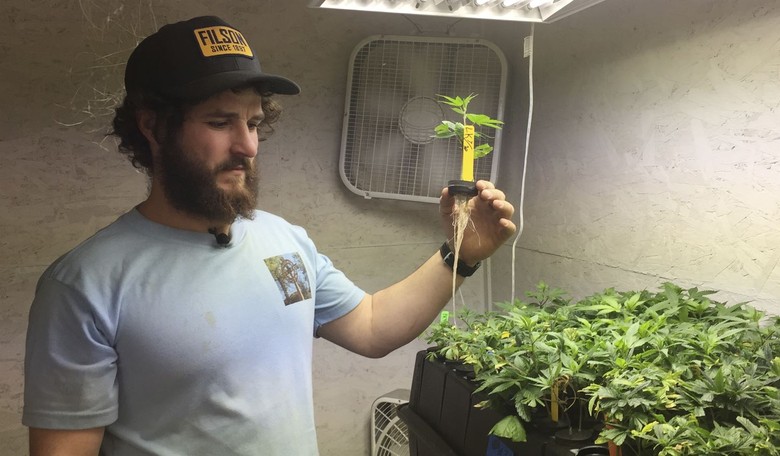 Police Officers and Judge Push Back On Leftist Prosecutor’s Marijuana Sanctuary Policy 