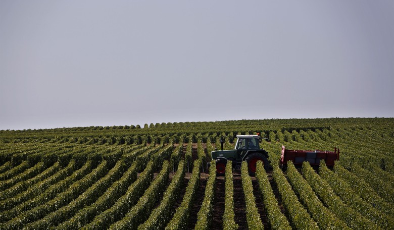 Trump Reverses Biden-Harris H-2A Visa Rules to Ease Farmer Burdens, Boost Rural Economy