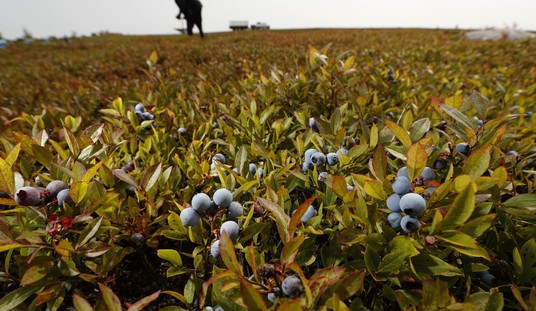A New Farm Bill Crops Up