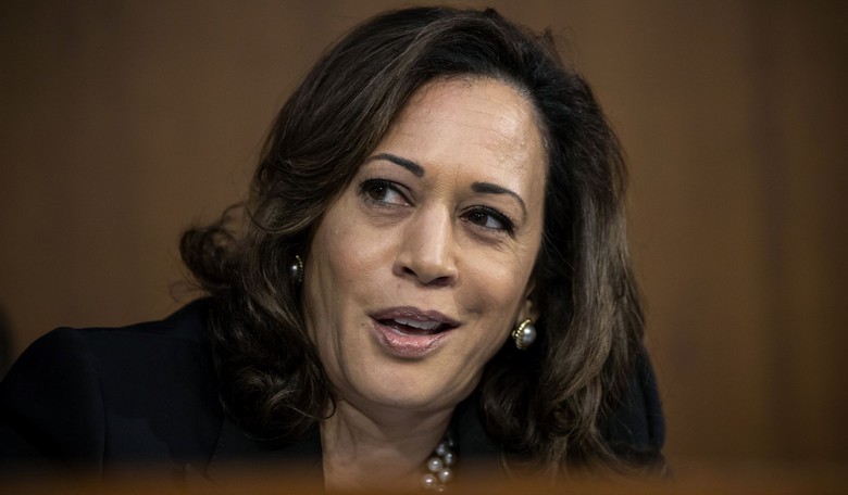 Kamala Harris: I'm Suddenly A Gun Owner Despite My Previous Assaults On The Second Amendment