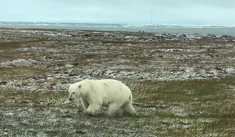 Now Global Warming is Altering Time?