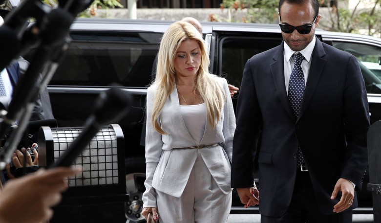 George Papadopoulos Pleaded Guilty to Lying, Not Russian Collusion