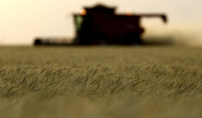 Chinese Scientist Deported After Smuggling Crop-Killing Fungus Into the US