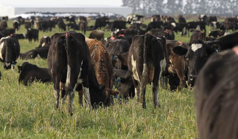 Trump Just Dropped Huge News for Ranchers and Farmers