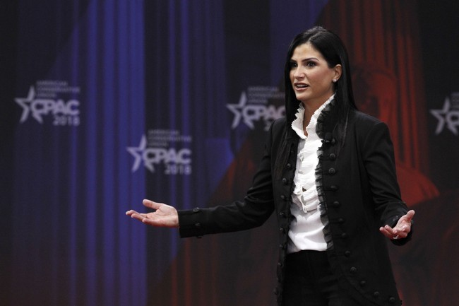 NextImg:Dana Loesch Has Reality Checks for (and About) Rich Celebs Who Lecture You About Guns