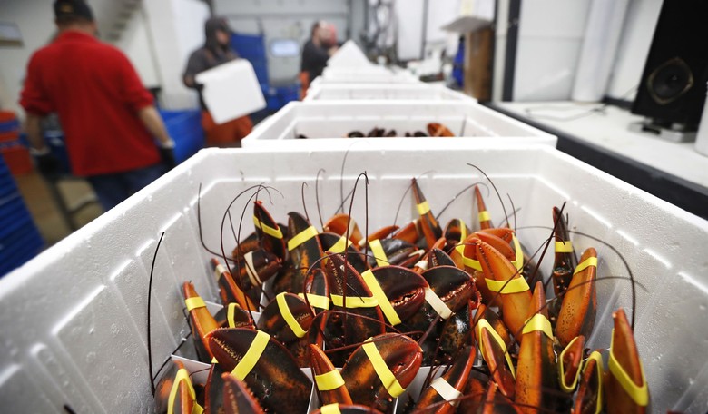 How Much Lobster Was Hijacked? It's a Heist Worthy of an Episode in The Sopranos 